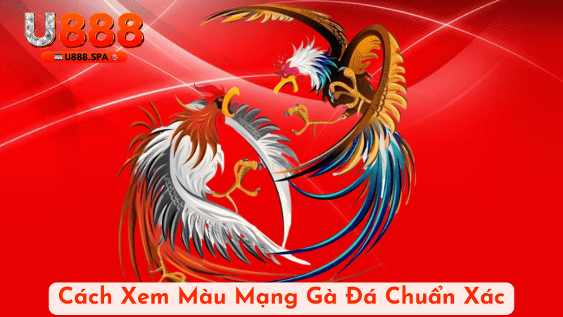 Cách Xem Màu Mạng Gà Đá Chuẩn Xác